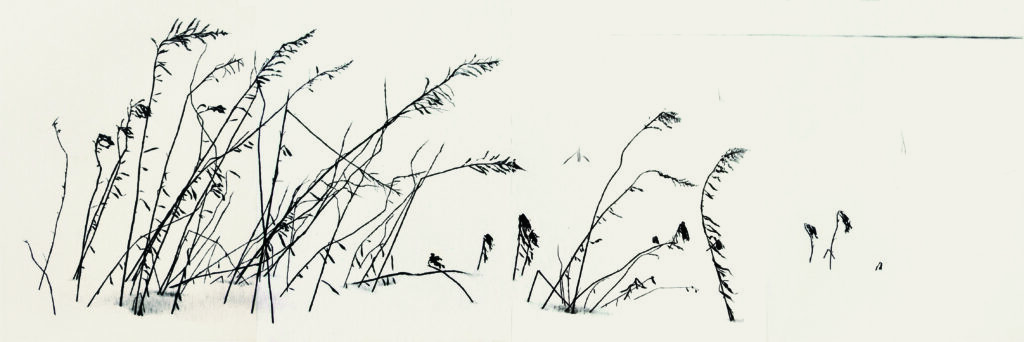 ユキノカゼ３