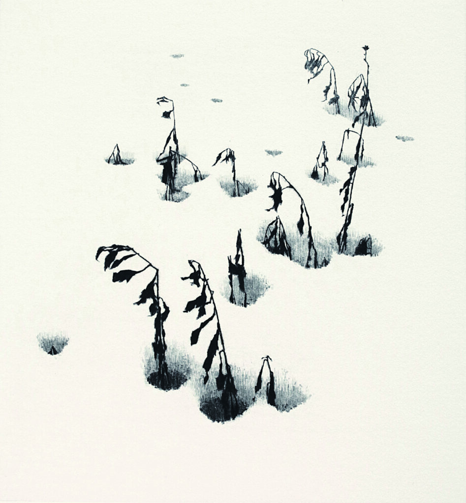 草の風景・冬　６